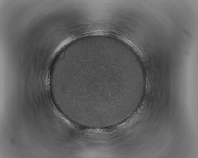 X0000113011450200909031304