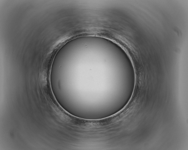 X0000113011451200909031304