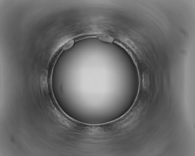 X0000113011452200909031304