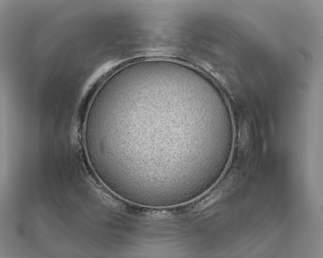 X0000113011454200909031304