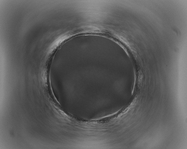 X0000113011455200909031304