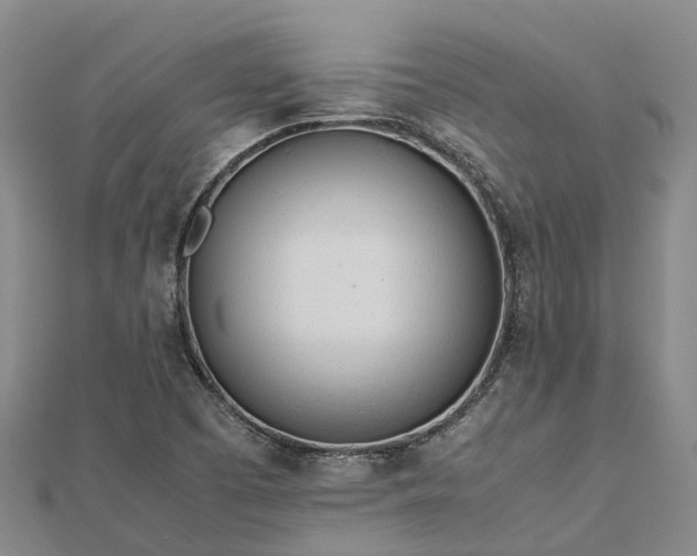 X0000113011457200909031304