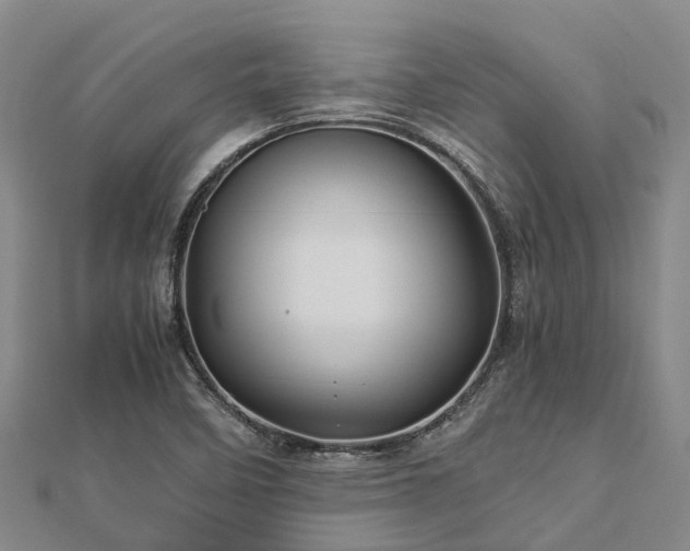 X0000113011458200909031304