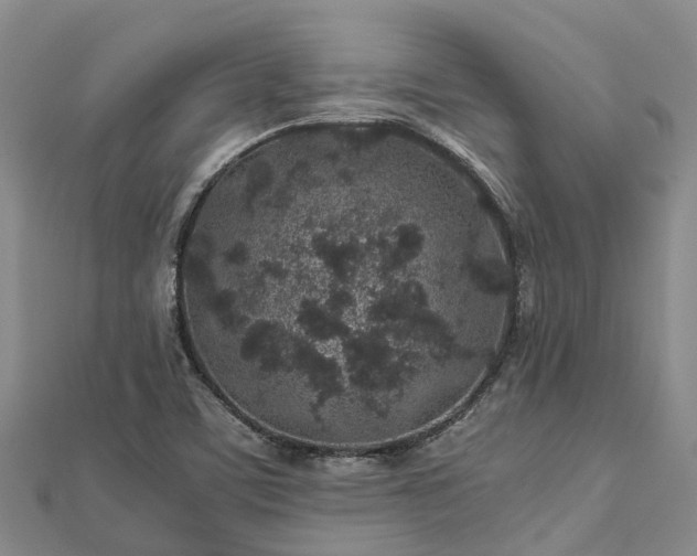 X0000113011459200909031304