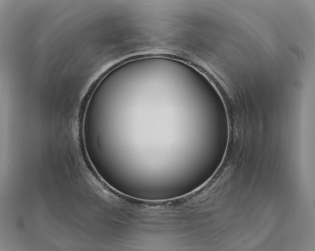 X0000113011460200909031304