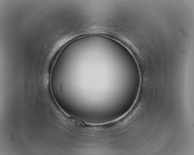 X0000113011461200909031304