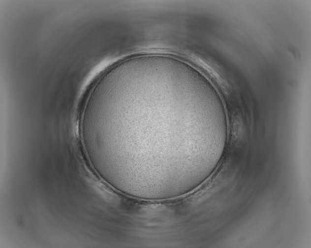 X0000113011462200909031304