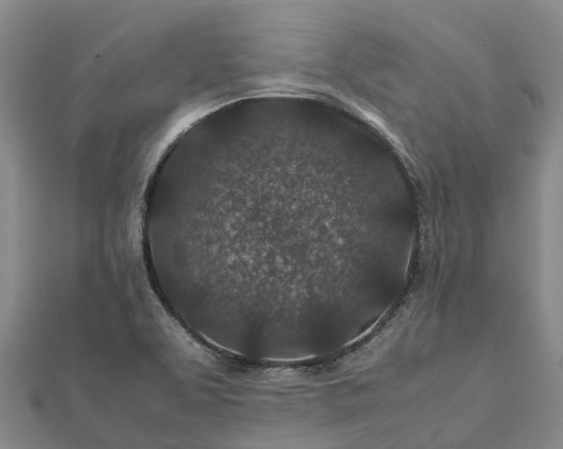 X0000113011463200909031304