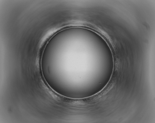 X0000113011464200909031304