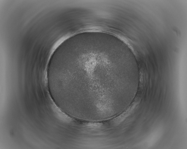 X0000113011466200909031304