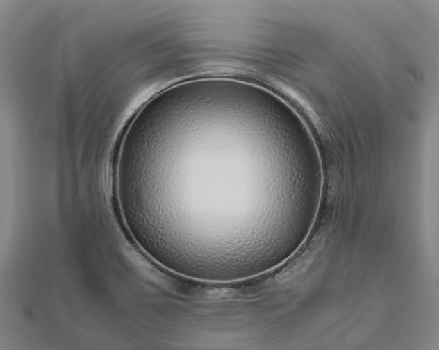 X0000113011467200909031304