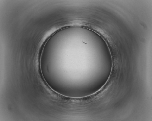 X0000113011469200909031304