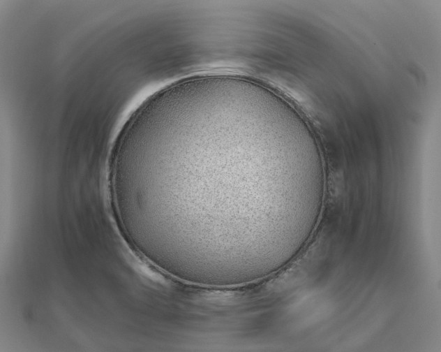 X0000113011470200909031304