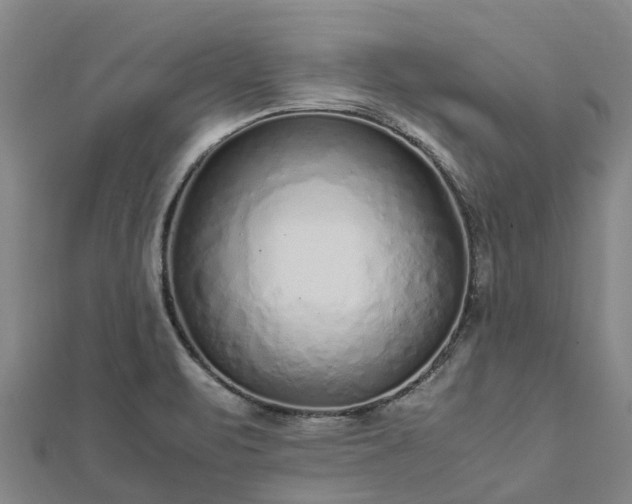 X0000113011471200909031304