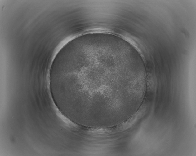 X0000113011474200909031303