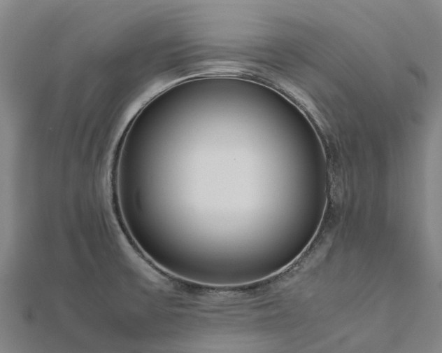 X0000113011475200909031303