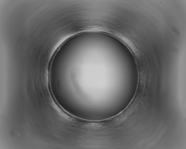 X0000113011476200909031303