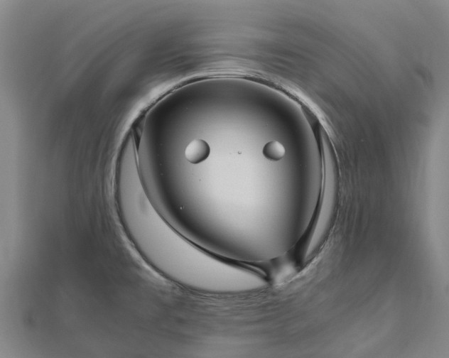 X0000113011477200909031303