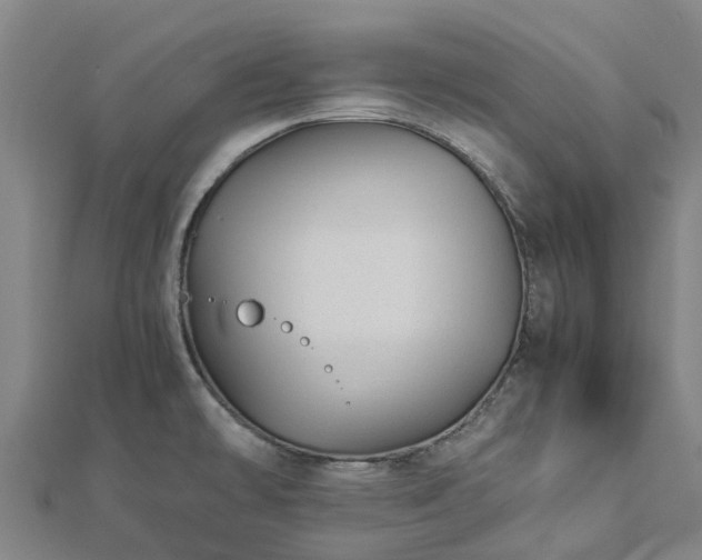 X0000113011478200909031303