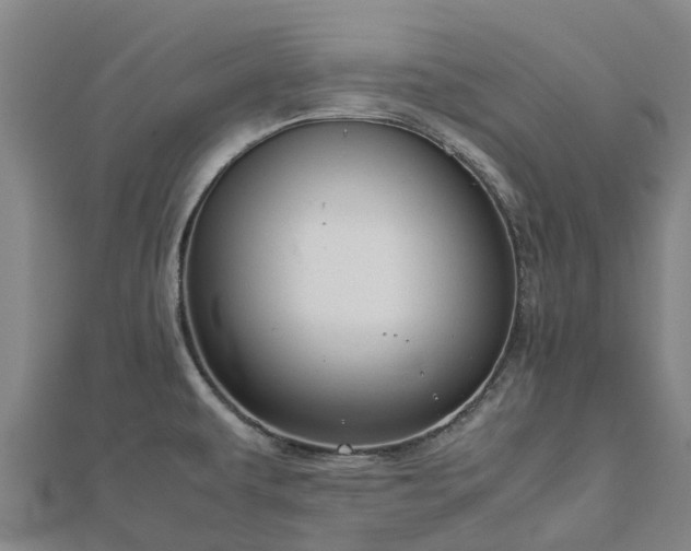 X0000113011479200909031303