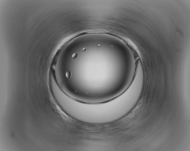 X0000113011485200909031303