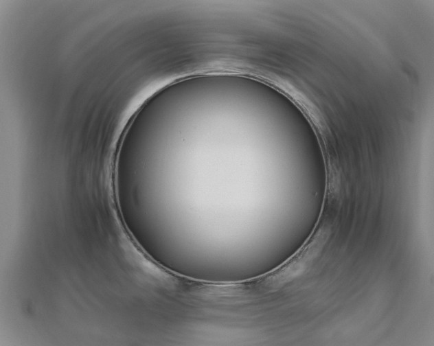 X0000113011486200909031303