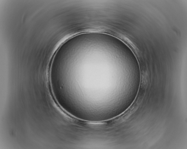 X0000113011487200909031303