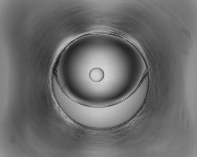 X0000113011488200909031303