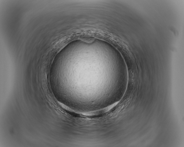 X0000113011489200909031303