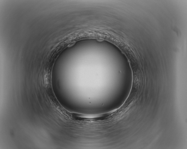 X0000113011490200909031303