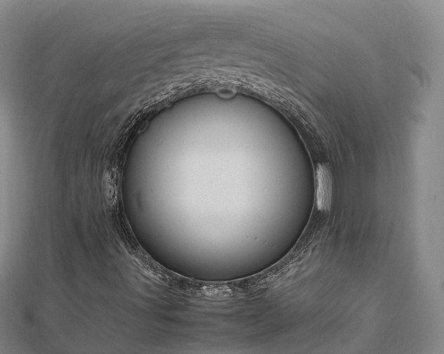 X0000113011491200909031303