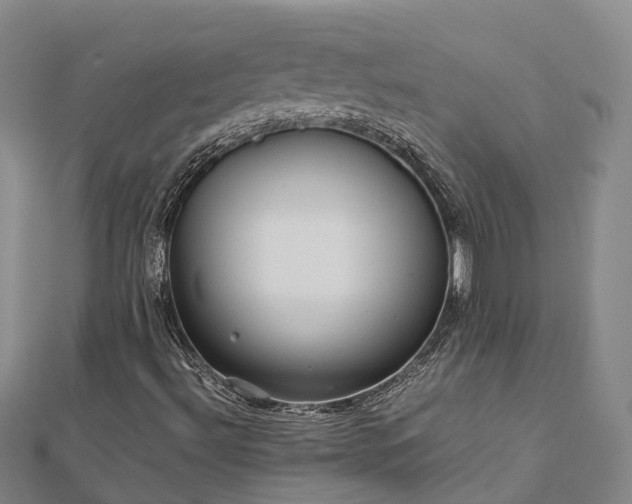 X0000113011492200909031303