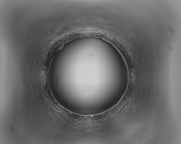 X0000113011493200909031303