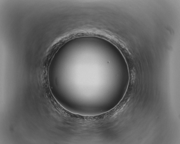 X0000113011494200909031303