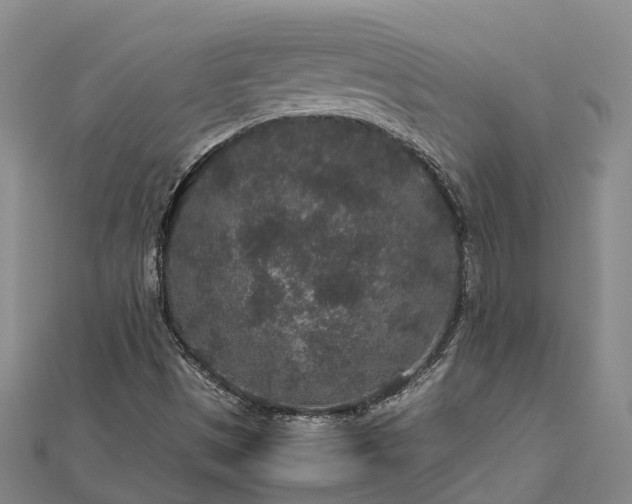 X0000113011497200909031303