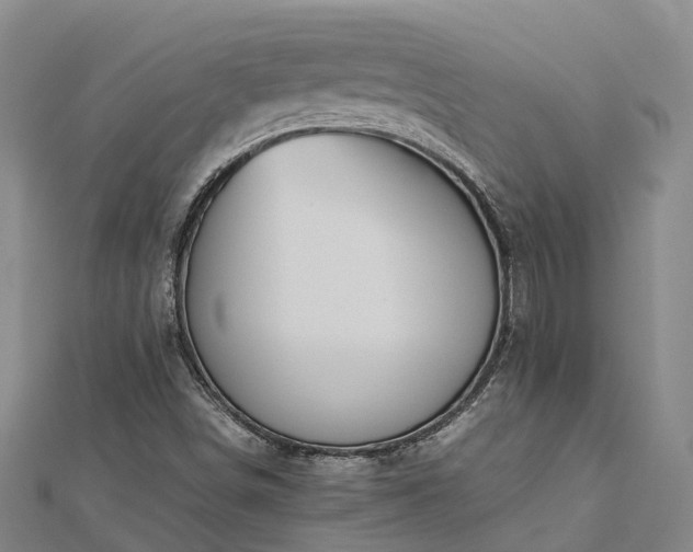 X0000113011498200909031303