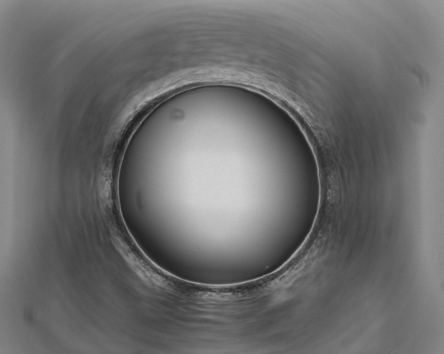 X0000113011499200909031303