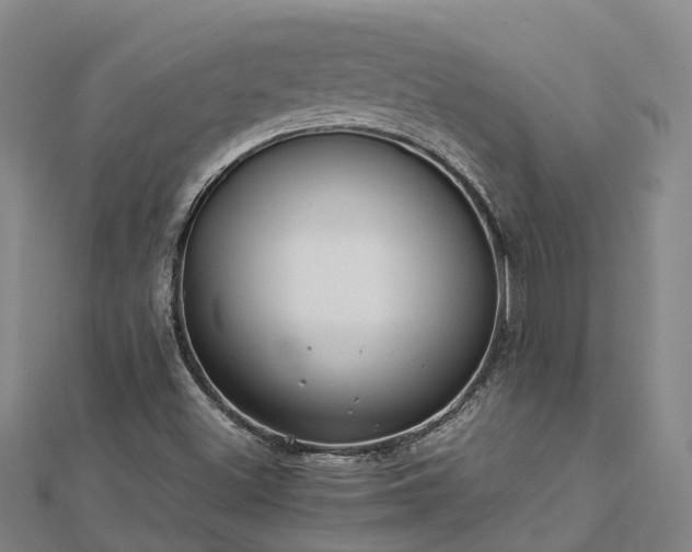 X0000113011500200909031303