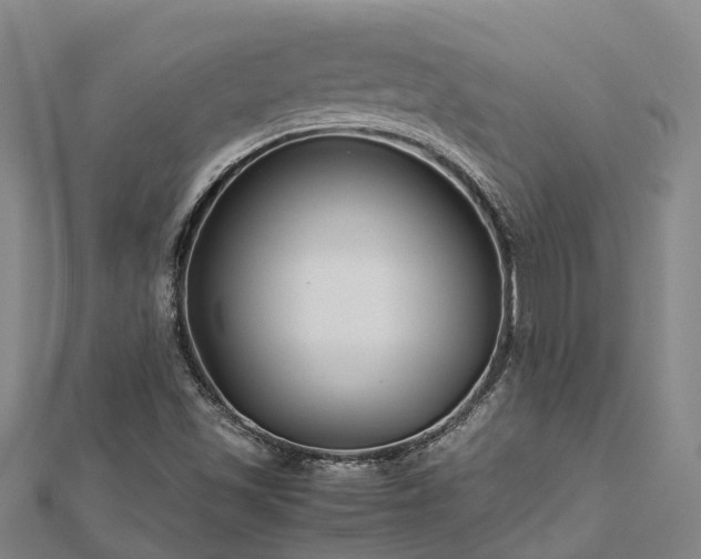 X0000113011501200909031303