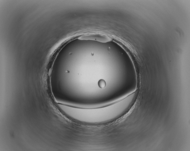 X0000113011502200909031303