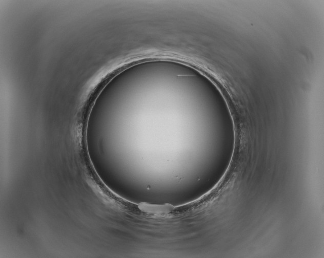 X0000113011503200909031303