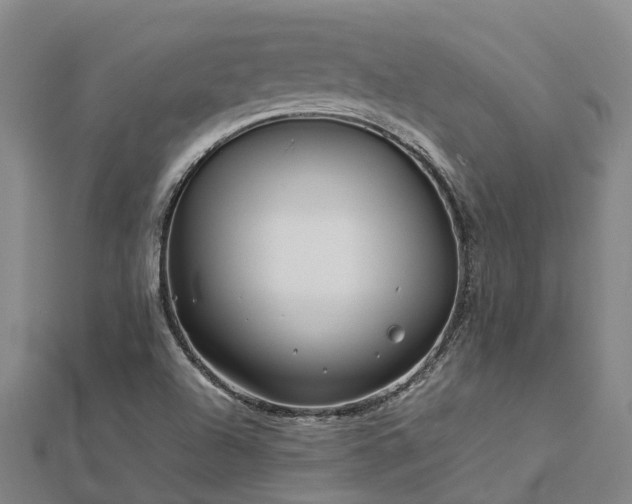 X0000113011504200909031303