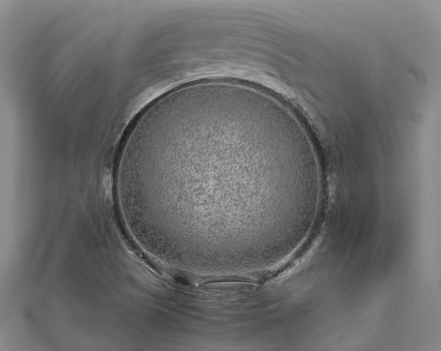 X0000113011505200909031303