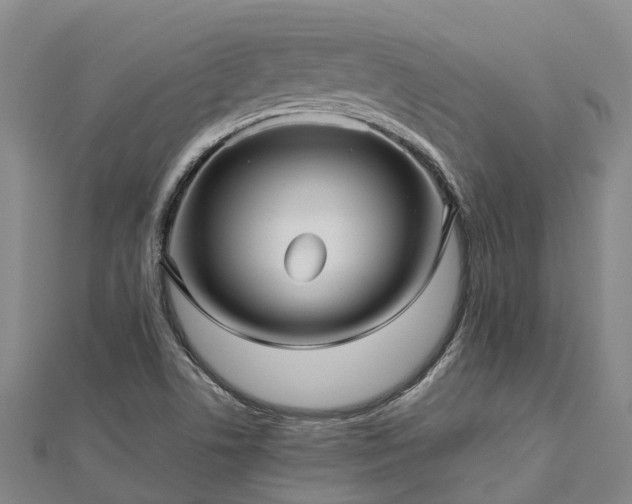 X0000113011506200909031303