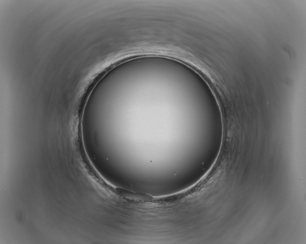 X0000113011507200909031303