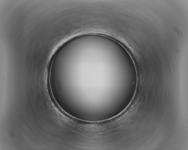 X0000113011508200909031303