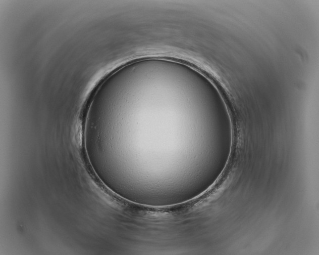 X0000113011509200909031303