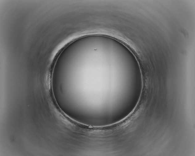 X0000113011510200909031303