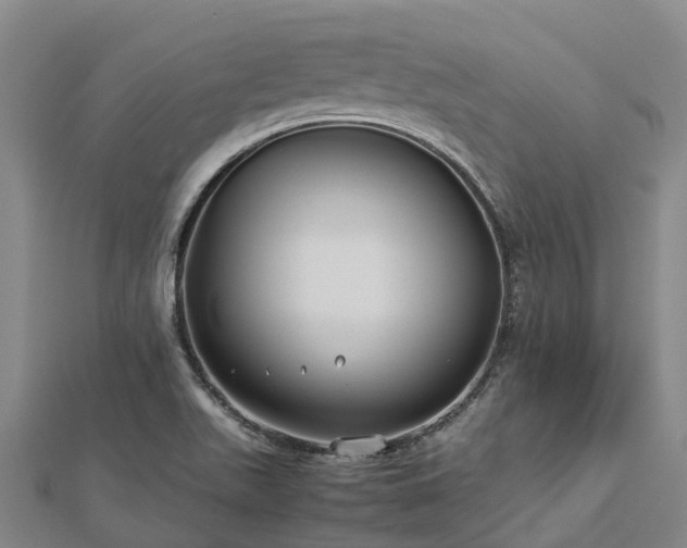 X0000113011511200909031303