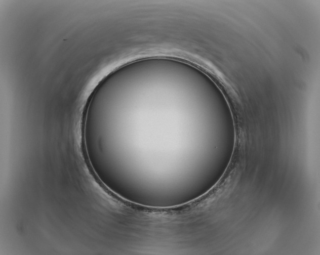 X0000113011512200909031303